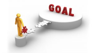 goal-wbo